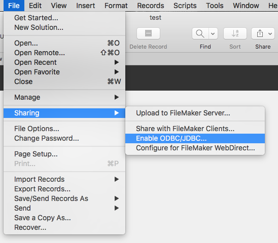 python and filemaker